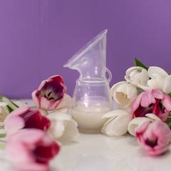 Силиконова помпа за кърма Lansinoh Silicone Breast Pump
