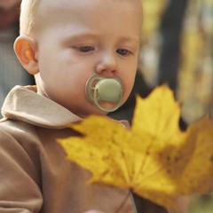 Залъгалка Philips Avent Ultra Air Colors of Nature 18м+ 2 броя